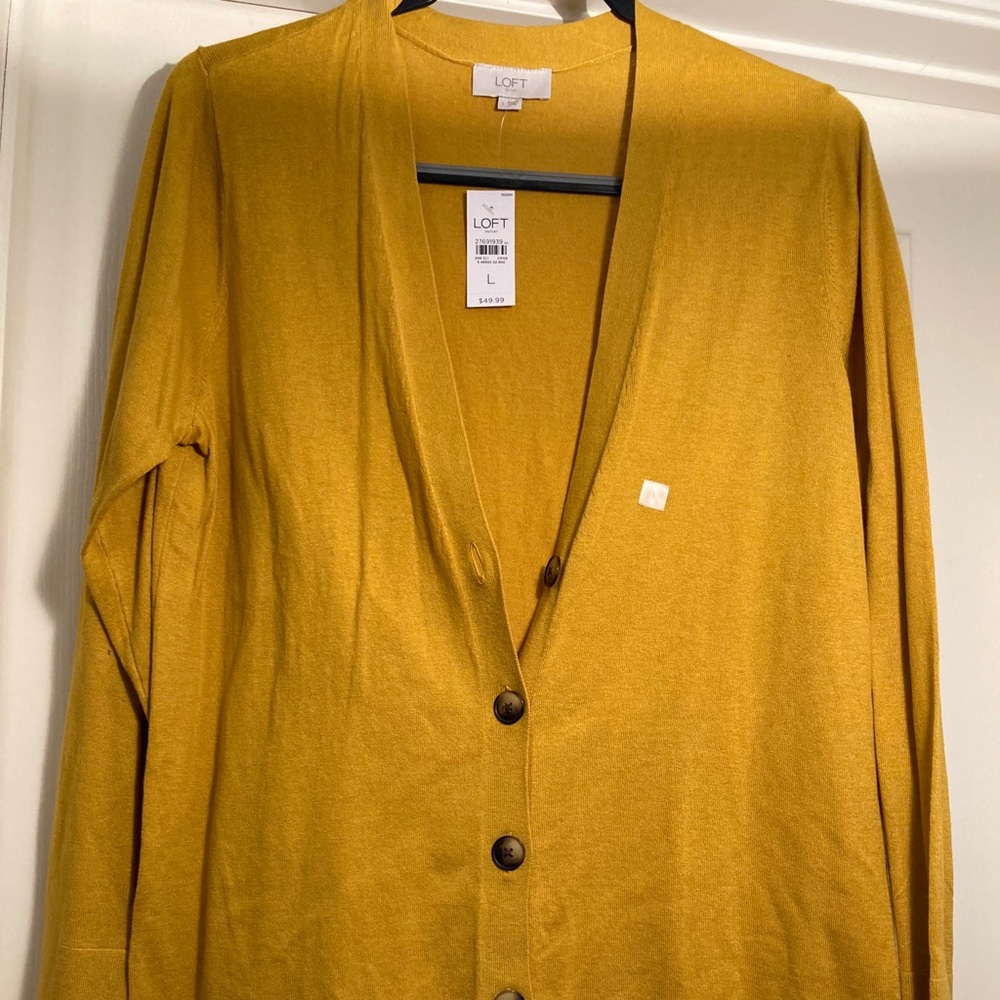 Cardigan sweater